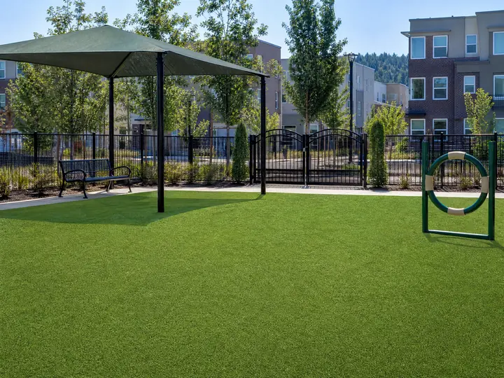 A well-maintained artificial turf dog park area featuring lush green grass and playful dogs enjoying the secure outdoor space.
