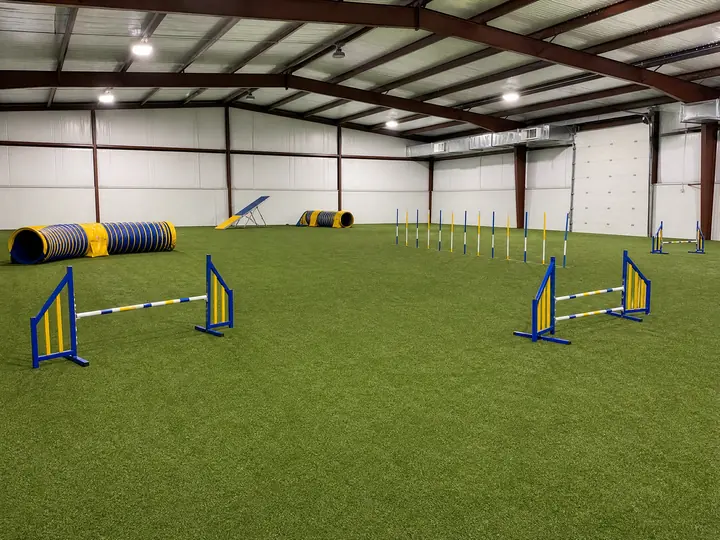 A professional indoor fitness turf surface features visible training lines designed for athletic agility drills and heavy workouts.